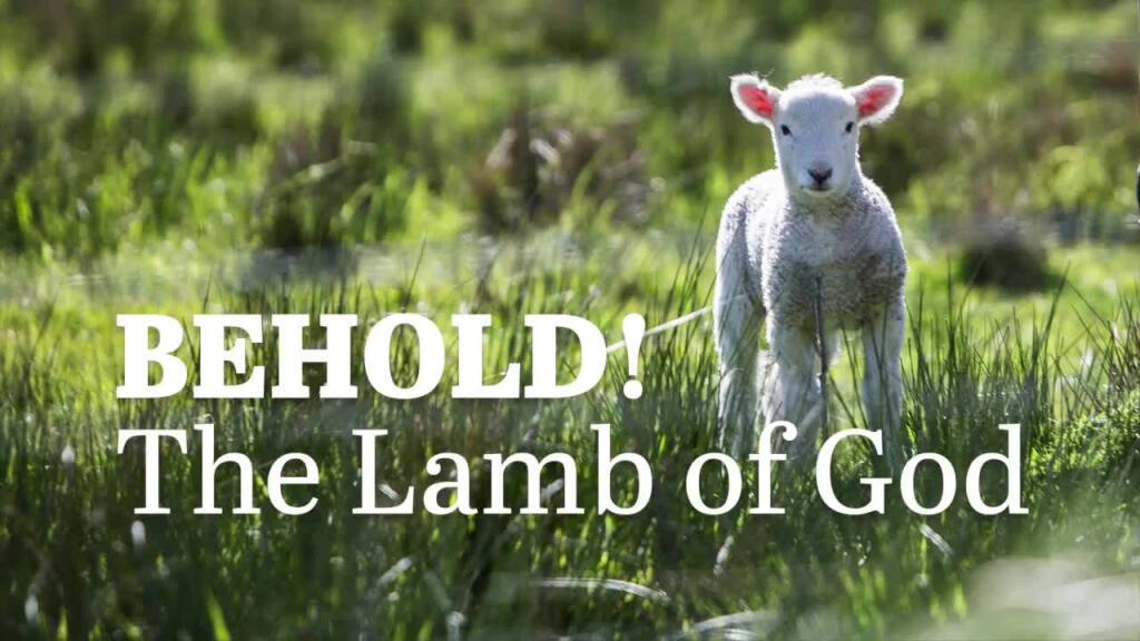Witness to the Lamb – John 1:29-42